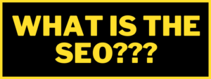 Read more about the article WHAT IS THE SEO?