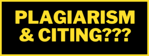 Read more about the article What is the Plagiarism and the Citing Sources in the Plagiarism?